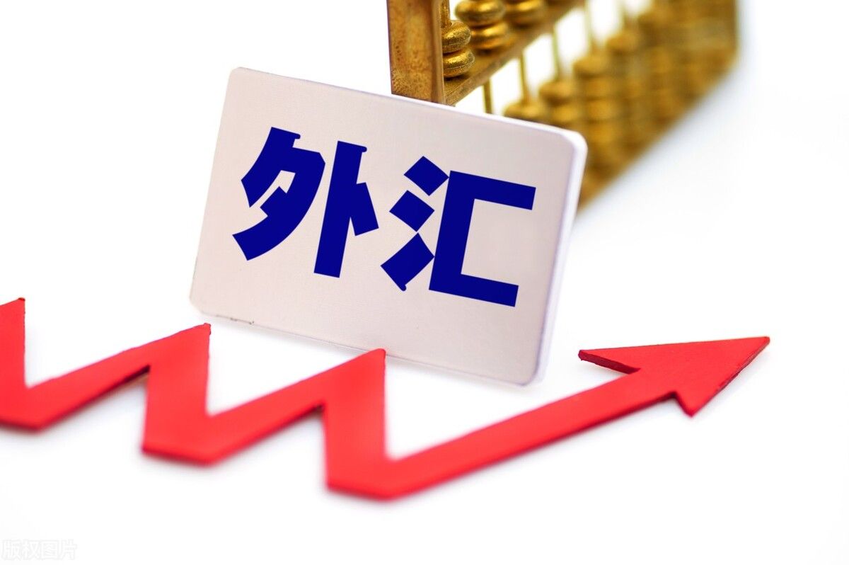 这家银行成为中国外汇交易中心首家自贸区外币货币市场外资银行会员